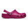 Classic Clogs Royal Pink