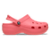 Classic Platform Clogs Guava