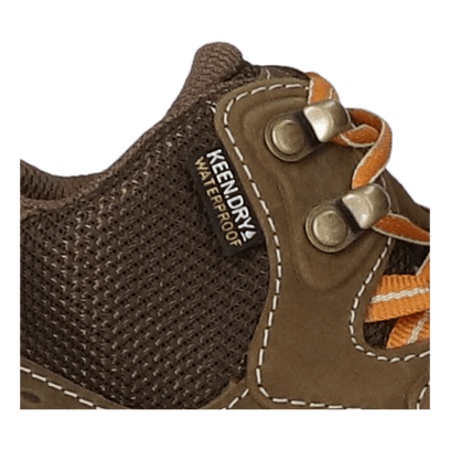 Terradora Explorer Dames Bergschoenen Canteen/Curry