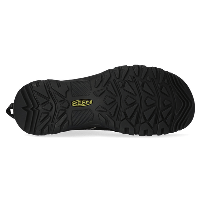 Targhee IV Heren Wandelschoenen Bison/Black