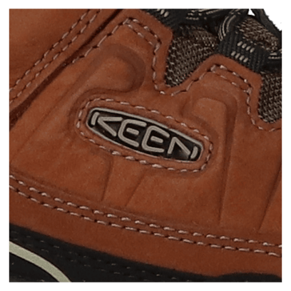 Targhee IV Heren Wandelschoenen Bison/Black