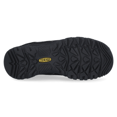 Targhee IV Heren Wandelschoenen Triple Black