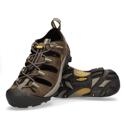 Arroyo II Heren Wandelschoenen Gargoyle/Tawny Olive