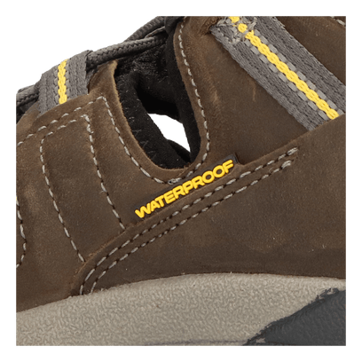 Arroyo II Heren Wandelschoenen Gargoyle/Tawny Olive