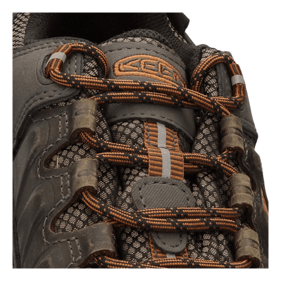Targhee III Heren Wandelschoenen Black Olive/Golden Brown