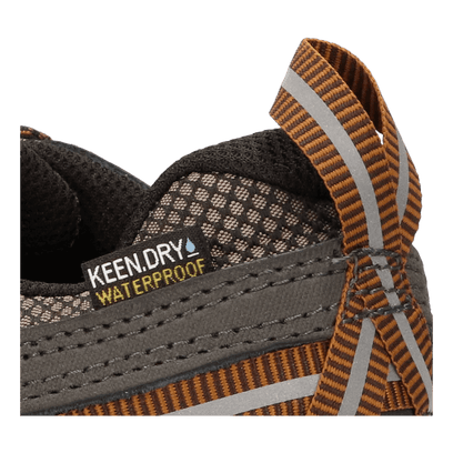 Targhee III Heren Wandelschoenen Black Olive/Golden Brown