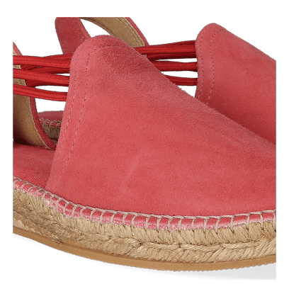 Nuria Suede Dames Espadrilles Bru