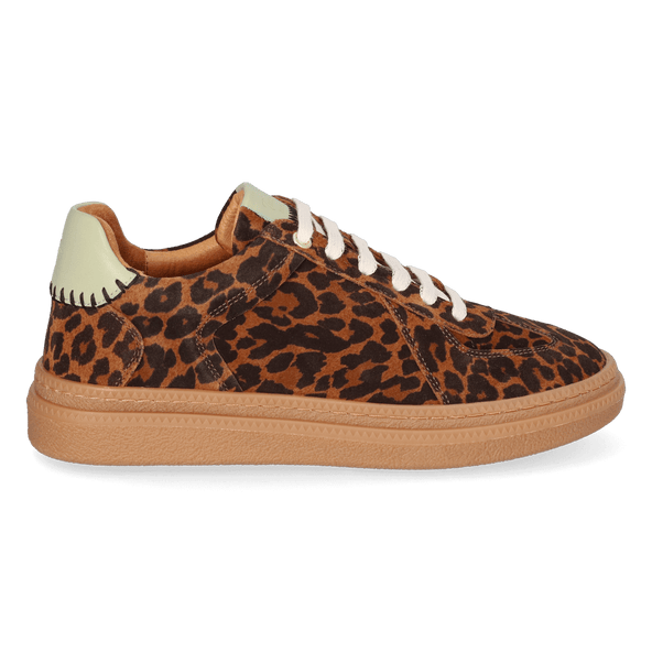 Aurea Dames Sneakers Suede Leo
