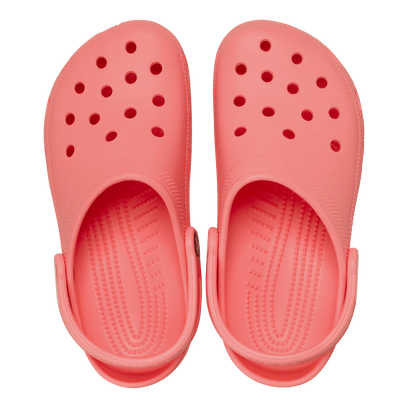 Classic Clogs Guava