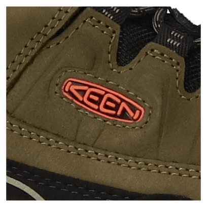 Targhee IV Heren Wandelschoenen Dark Olive/Gold Flame