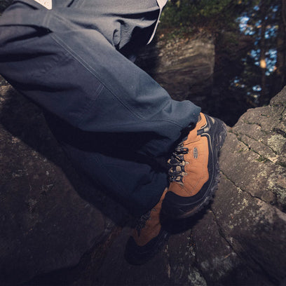 Targhee IV Heren Wandelschoenen Bison/Black