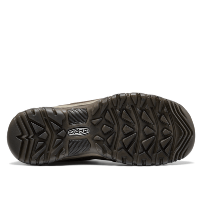 Targhee IV Heren Wandelschoenen Java/Bison