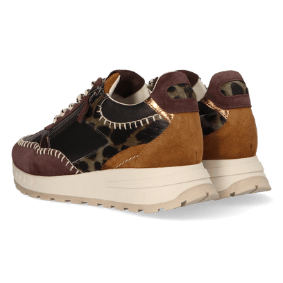 HEDY 05.04 Dames Sneakers Leer Dark Brown/Purple