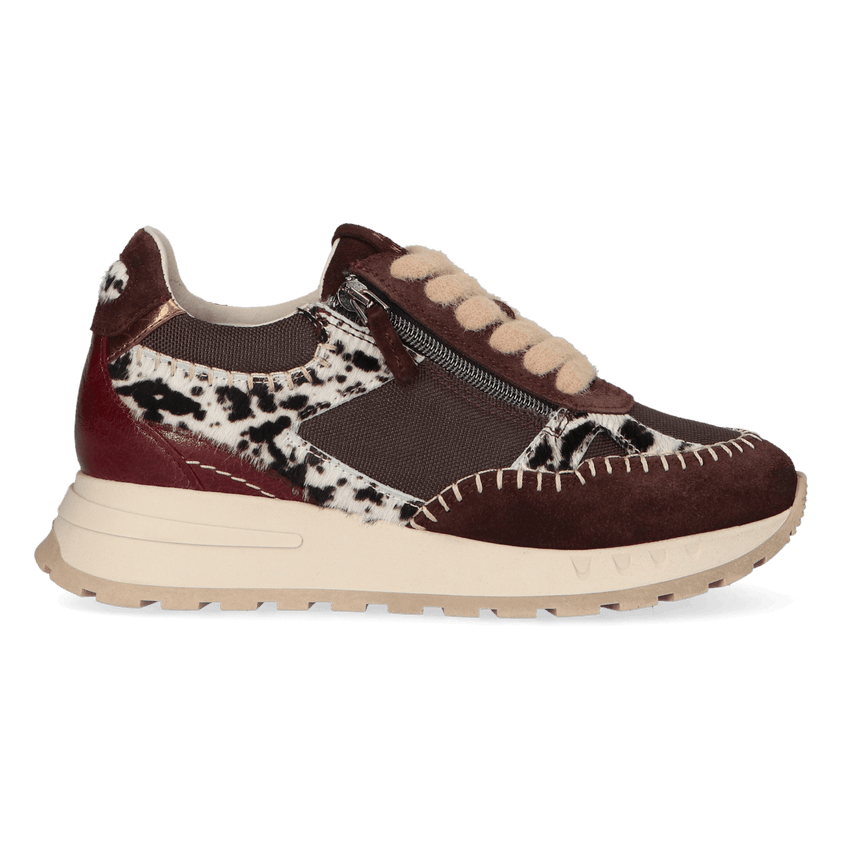 HEDY 06.01 Dames Sneakers Leer Dark Brown
