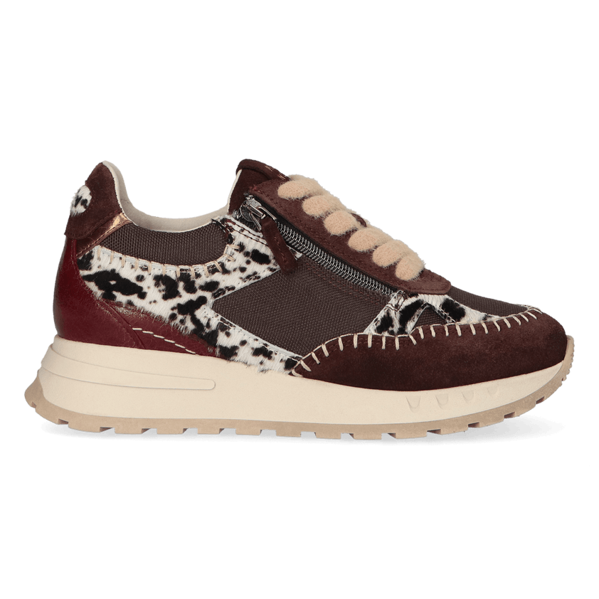 KAROL 05.01 Dames Sneakers Dark Brown