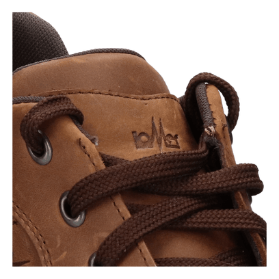 Oxford Heren Veterschoenen Piquet Kopper Brown