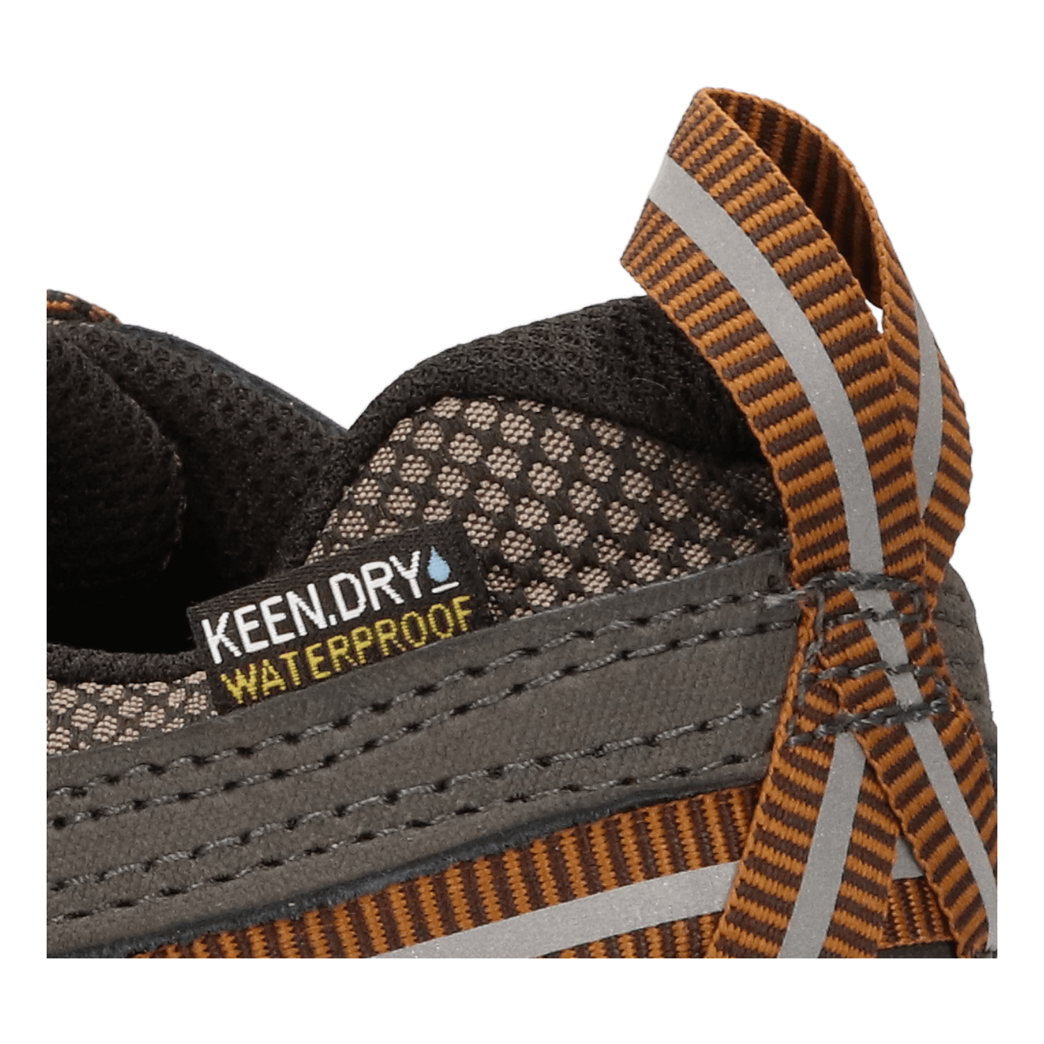 Test Keen Targhee III WP 2025 : Avis, Chaussures Randonnée légère Keen Test Keen Targhee III WP 2025 : Avis, Chaussures Randonnée légère Keen