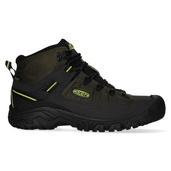 Targhee III Mid Heren Wandelschoenen Forest Night/Evening Primrose